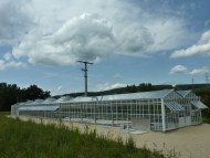 Drying plant