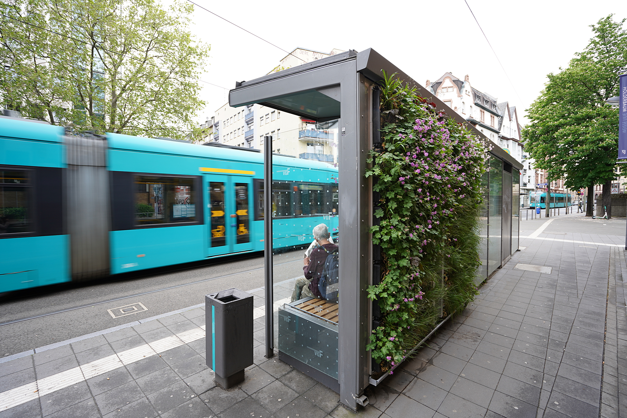 Grüne Haltestelle in Frankfurt