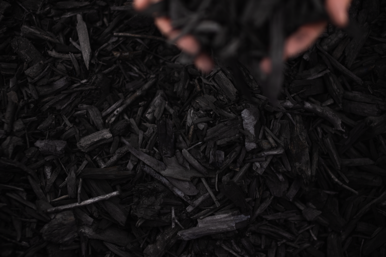 Biochar