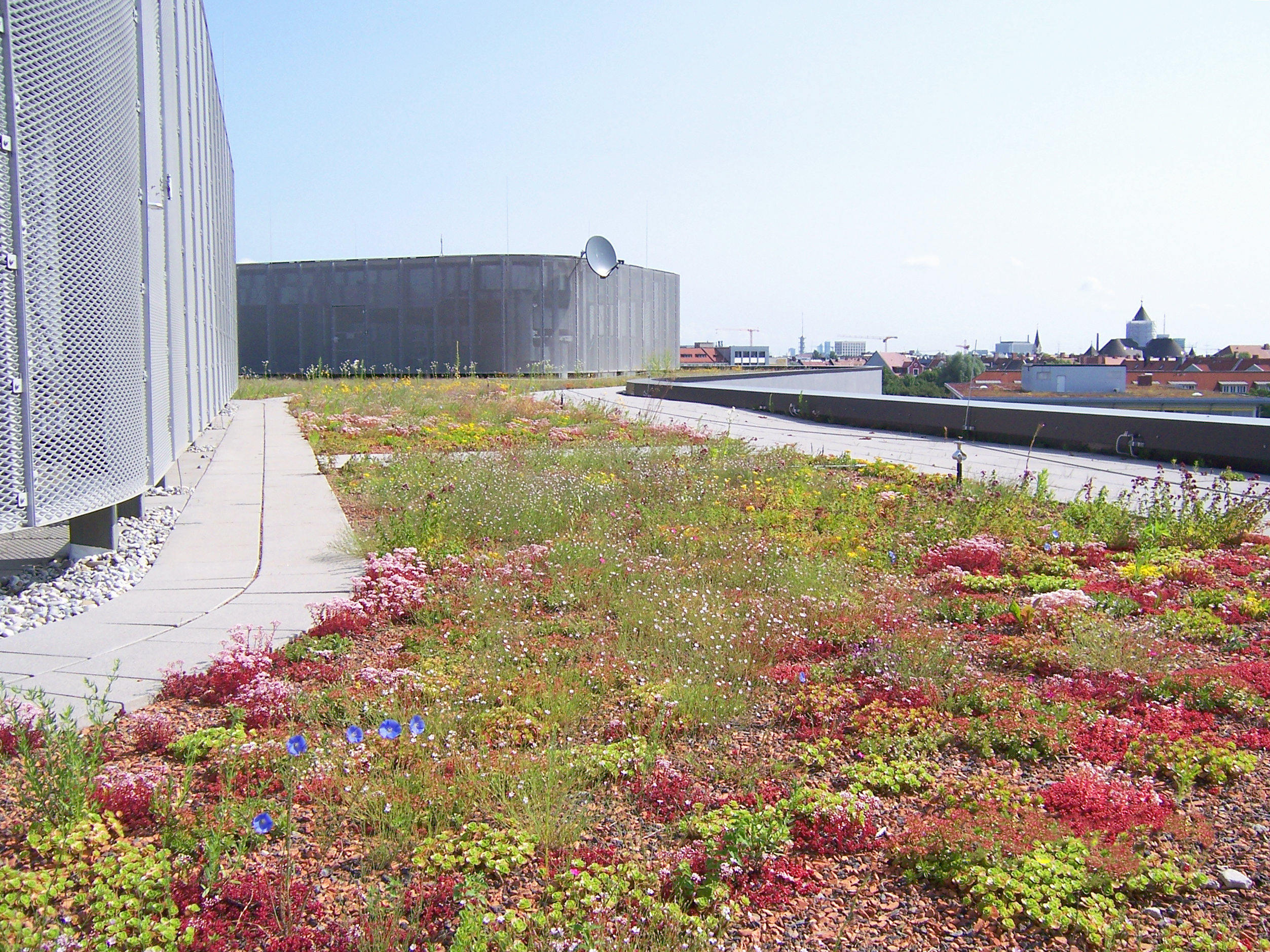 Extensive green roofs