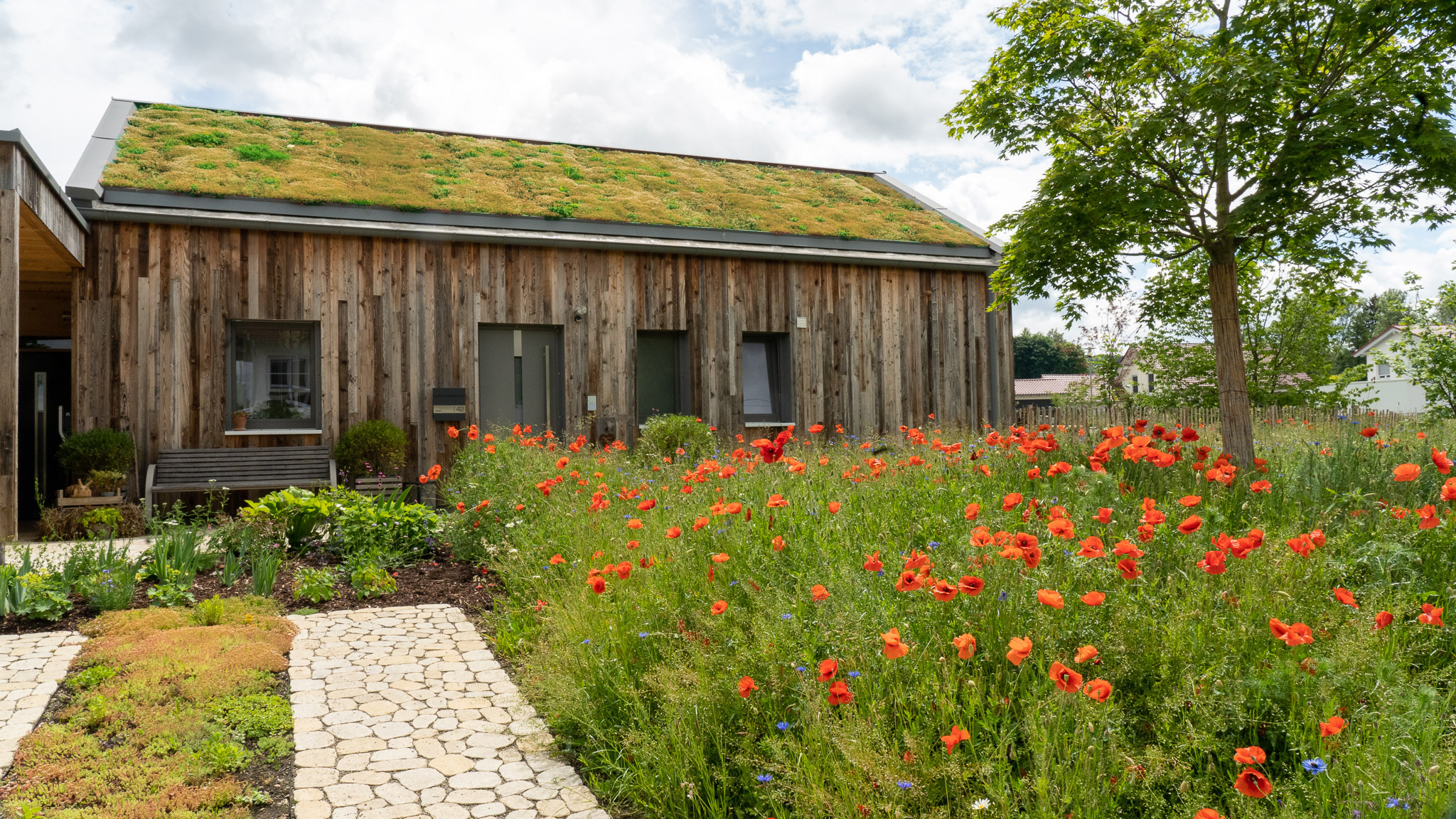 Green roofs on pitched roofs