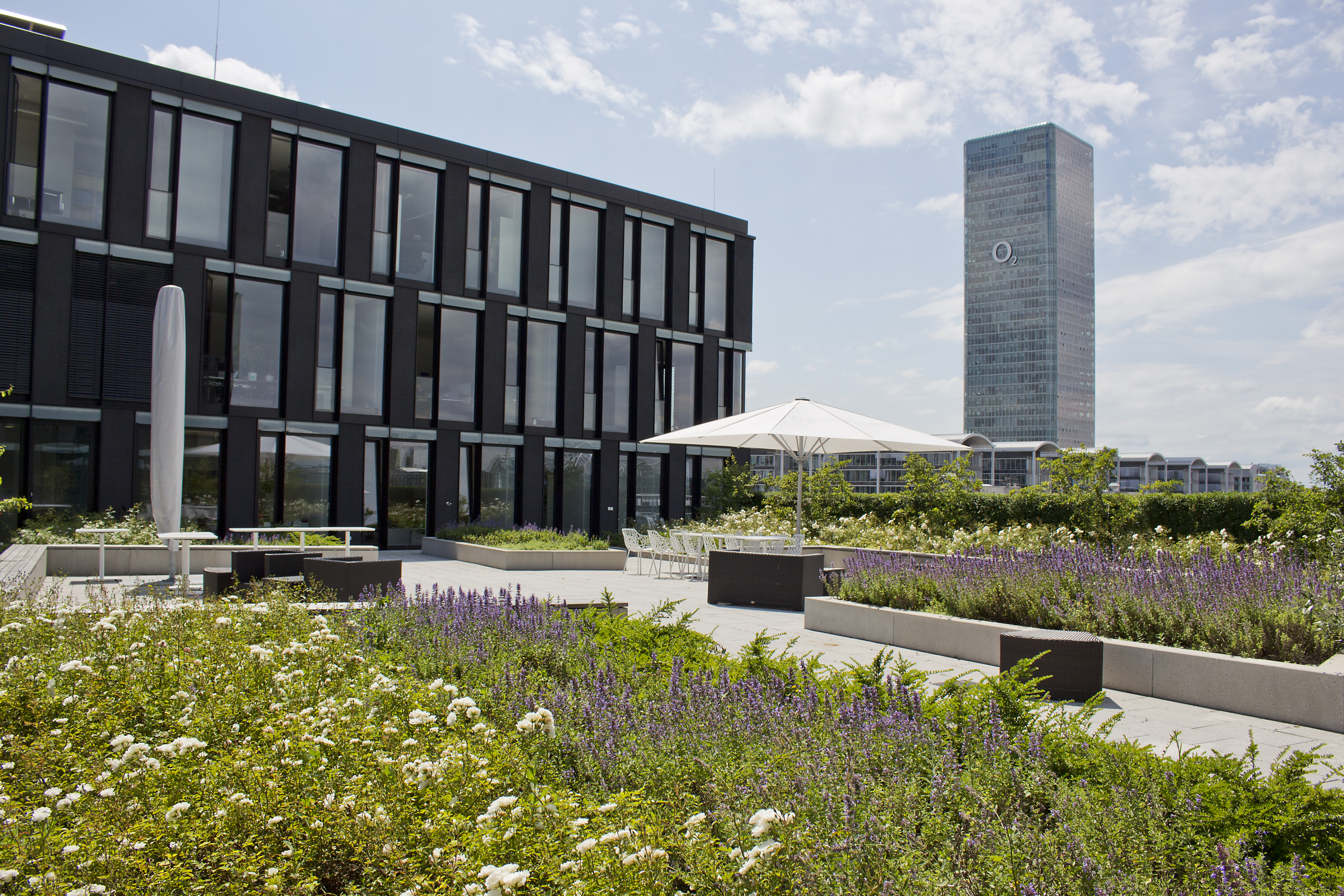 Intensive roof greening