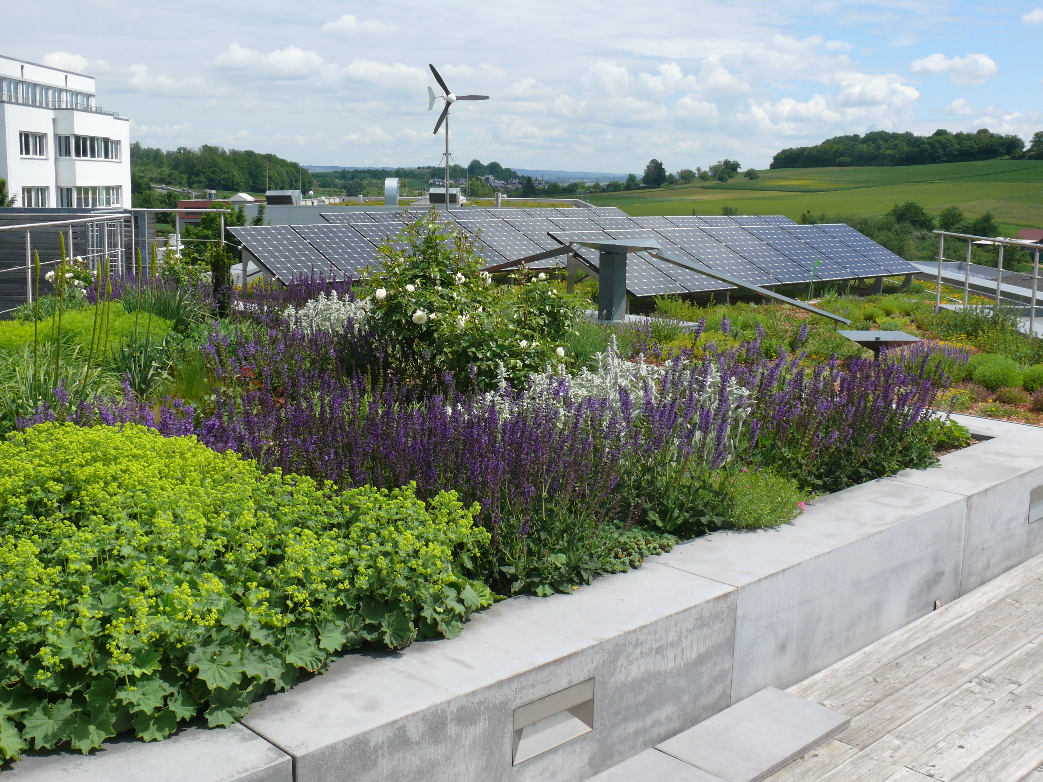 Roof greening with solar