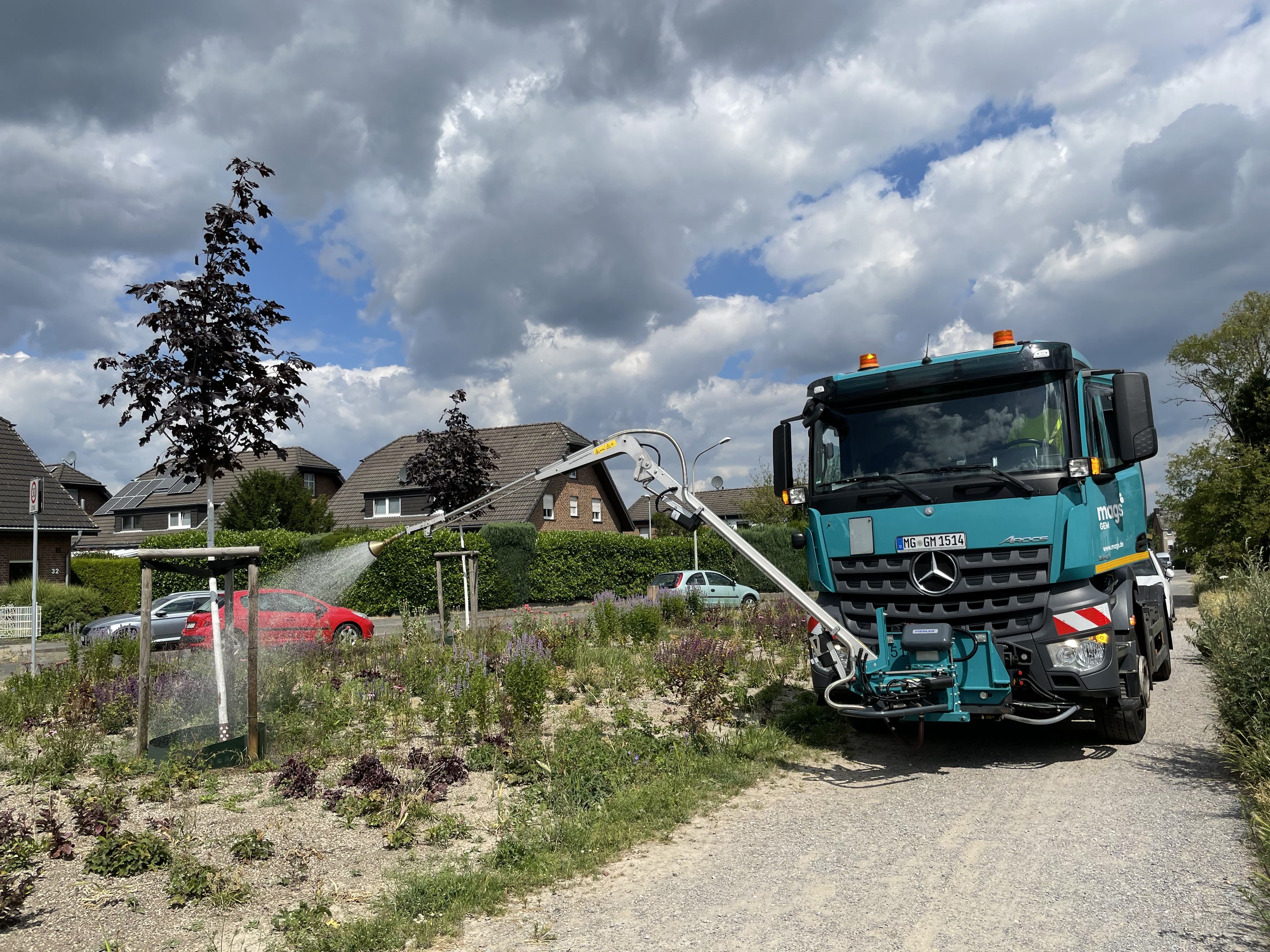 Un vehículo de riego riega un árbol joven