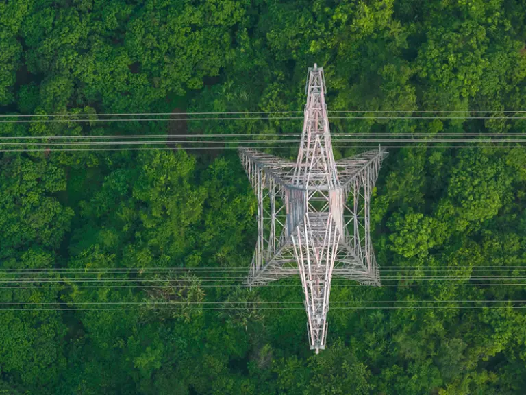 Strommast in der Natur, symbolisiert Energieeffizienz für Unternehmen im GreenTech Bereich