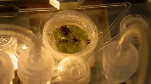 Bioreaktorsystem für die Zellkultivierung