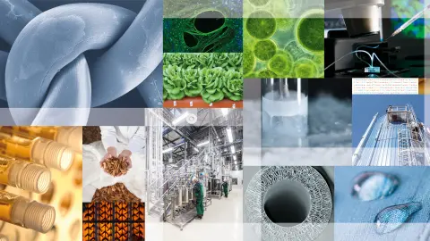 Fraunhofer IGB – Wir verbinden Biologie und Technik