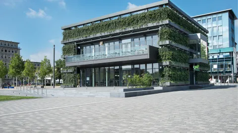 Fassadenbegrünung 'Helix® Elata', Projekt Kesselbrink in Bielefeld