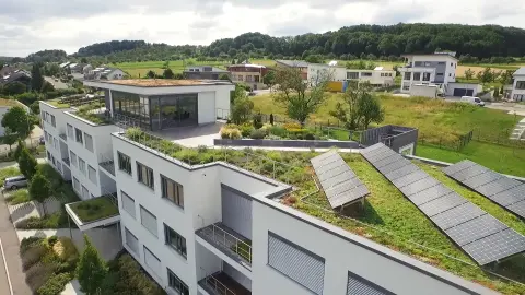 Green roof on company roof