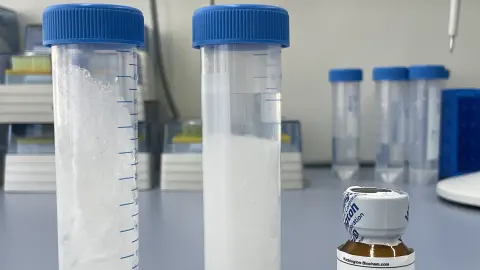 Enzymatische Behandlung von Windelmasse