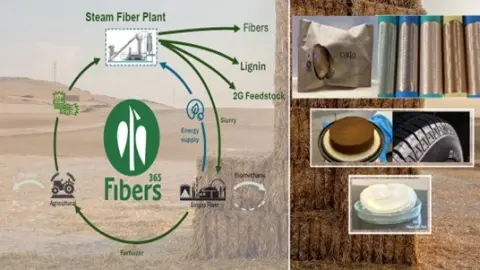 Dezentralisierte SteamFiber-Anlagen beziehen ihre Rohstoffe regional aus einjährigen Pflanzen und Erntenebenprodukten, Fibers365 Cellulosepulp und Lignin365 werden "auf dem Bauernhof" produziert. Produktionsnebenströme werden in Biogasanlagen behandelt, um Biomethan für einen energieautarken Betrieb zu erzeugen. Die Verdauungsrückstände, reich an mineralischen und organischen Verbindungen, werden auf landwirtschaftliche Flächen umgewandelt, um den Humus- und Nährstoffbedarf auszugleichen.  