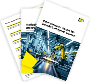 Titelbilder Diversifizierungsstudien