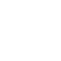 Checkliste Icon