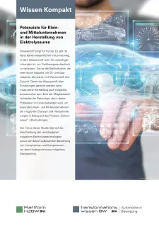 Potenziale für Klein- und Mittelunternehmen in der Herstellung von Elektrolyseuren