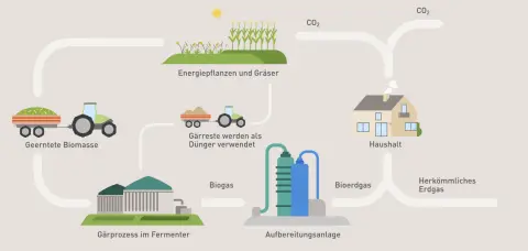 Bioenergie-Anlagen - Schaubild