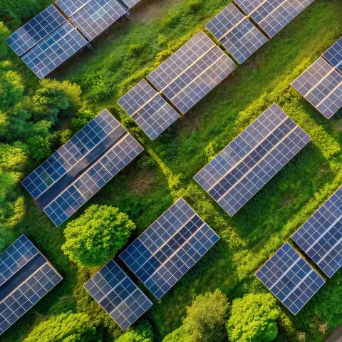 Solarpanele inmitten der Natur, symbolisieren nachhaltige Energieerzeugung im GreenTech-Bereich