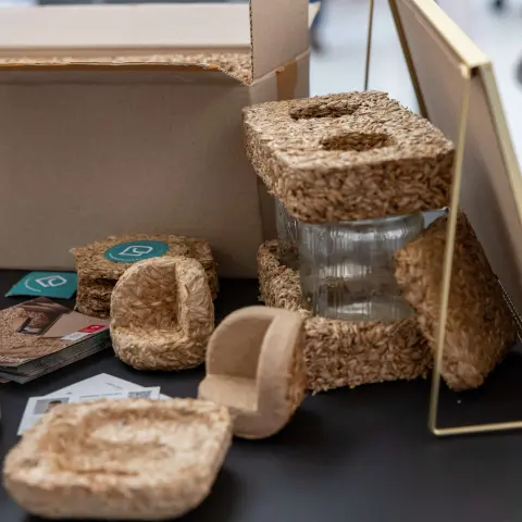 Produktve vom Green Start-up Proservation